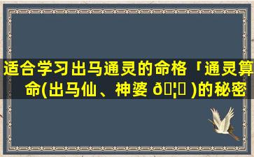 适合学习出马通灵的命格「通灵算命(出马仙、神婆 🦋 )的秘密」